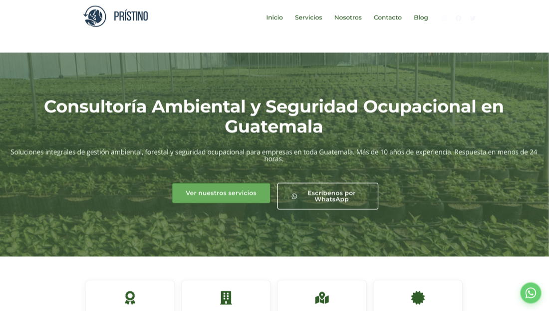 Web profesional de Pristino